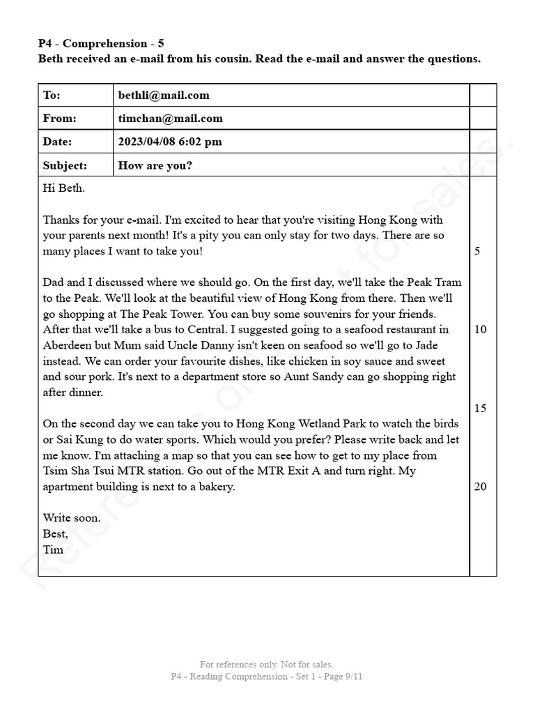 Comprehension - P4 - Set 1 | PDF
