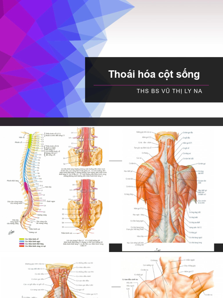 THCS 2025 | PDF