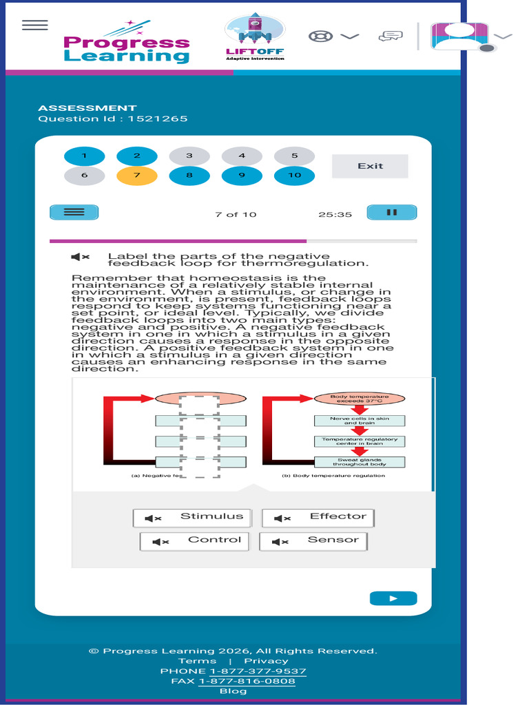 Progress Learning 8 | PDF