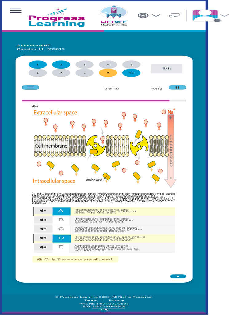 Progress Learning 6 | PDF