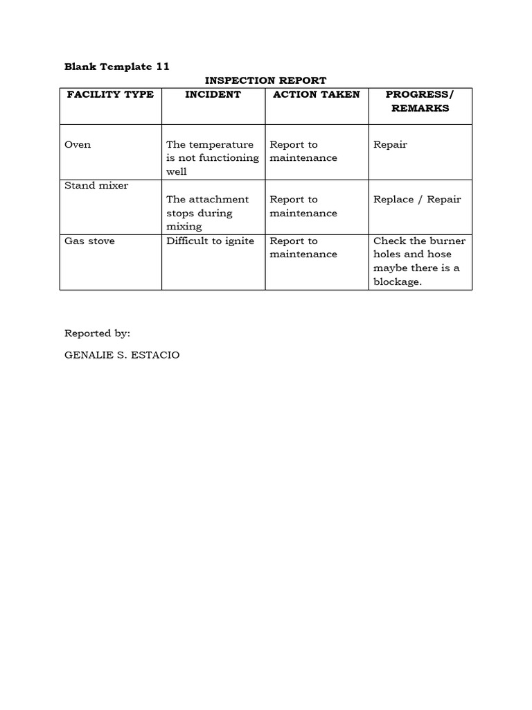 Gse-Inspection Report | PDF