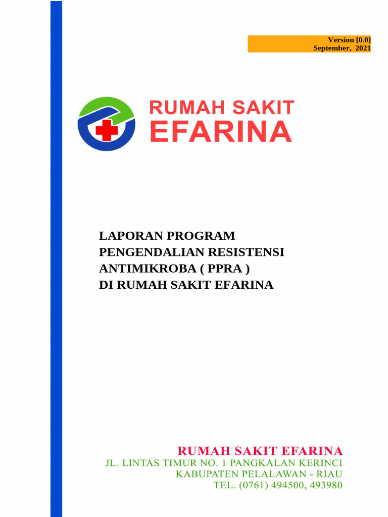 Laporan Ppra Di Rs Efarina | PDF