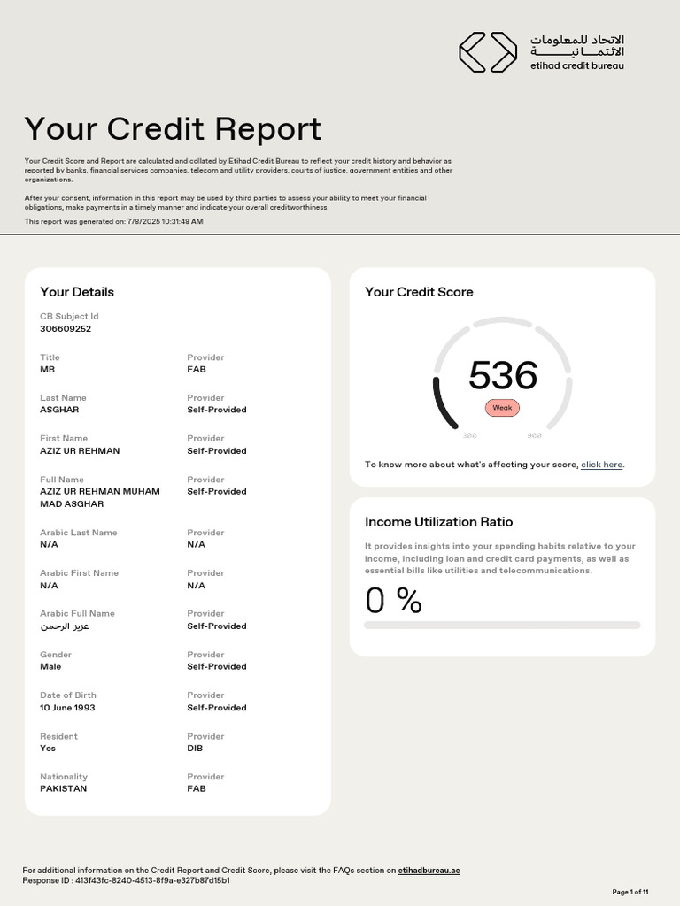 Credit Report 08-07-2 | PDF | Credit | Finance & Money Management