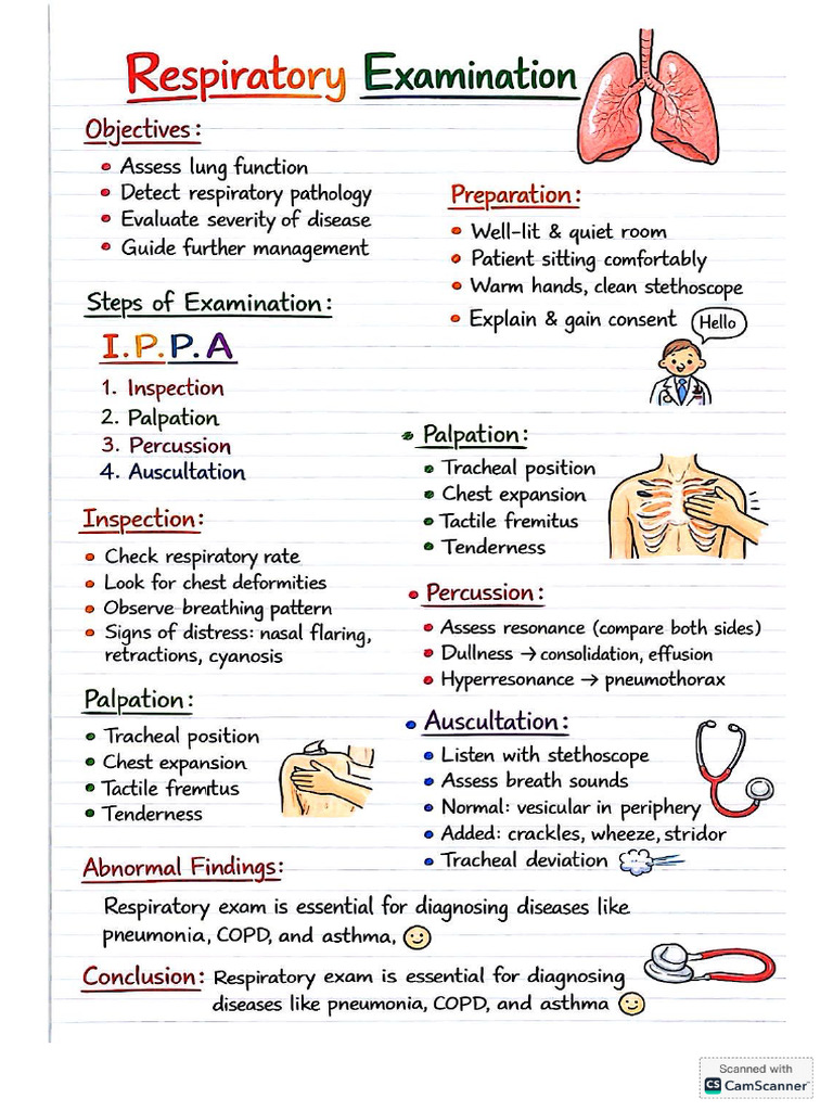 Respo Examination | PDF