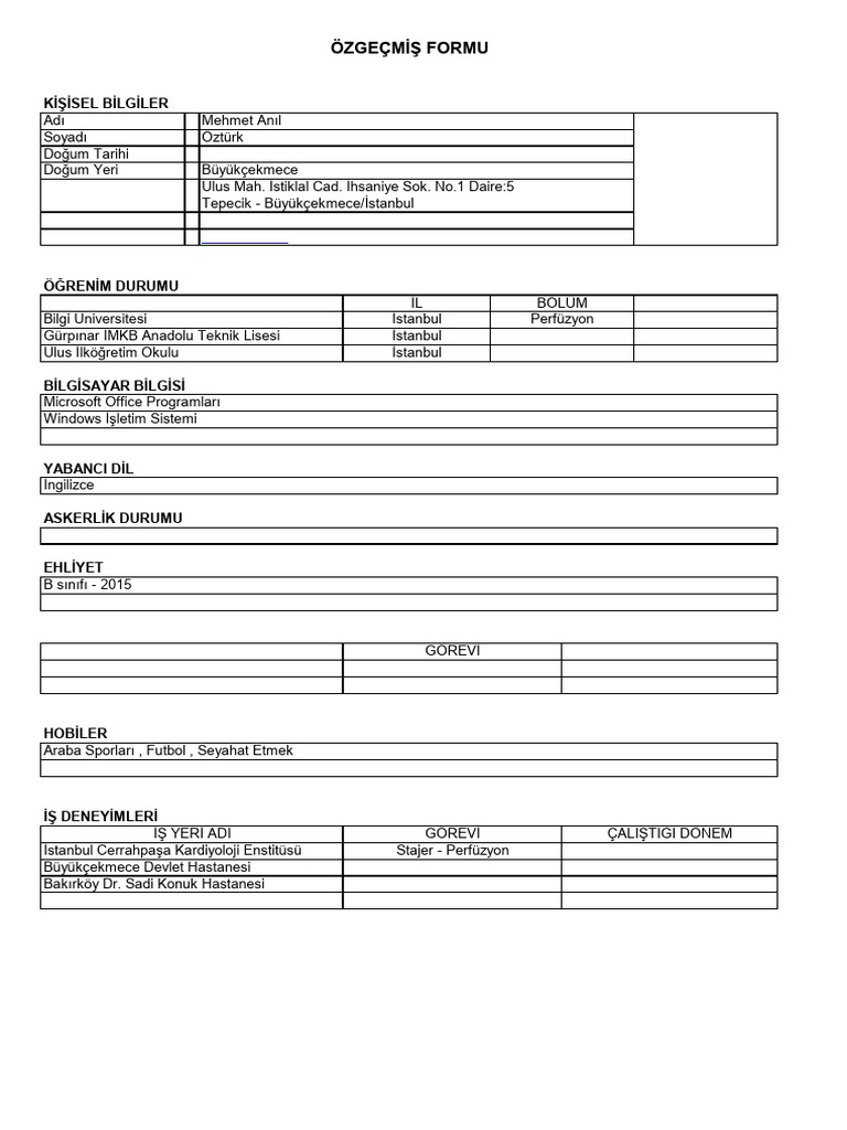 Mehmet Anıl Öztürk CV1 | PDF