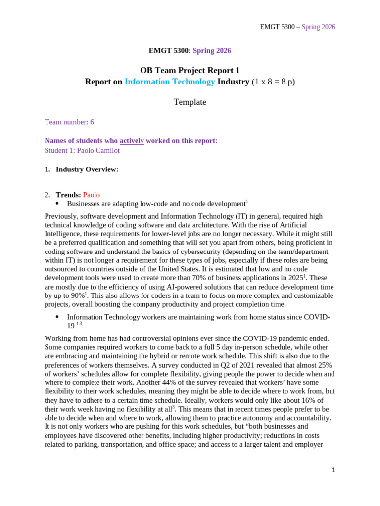 OB Project Report 1-Template-Spring 2026 | PDF | Artificial ...