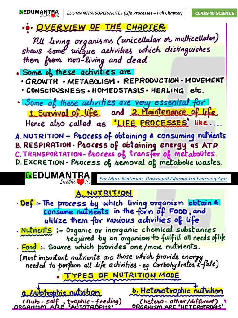 Chapter 5 - Life Processes | PDF