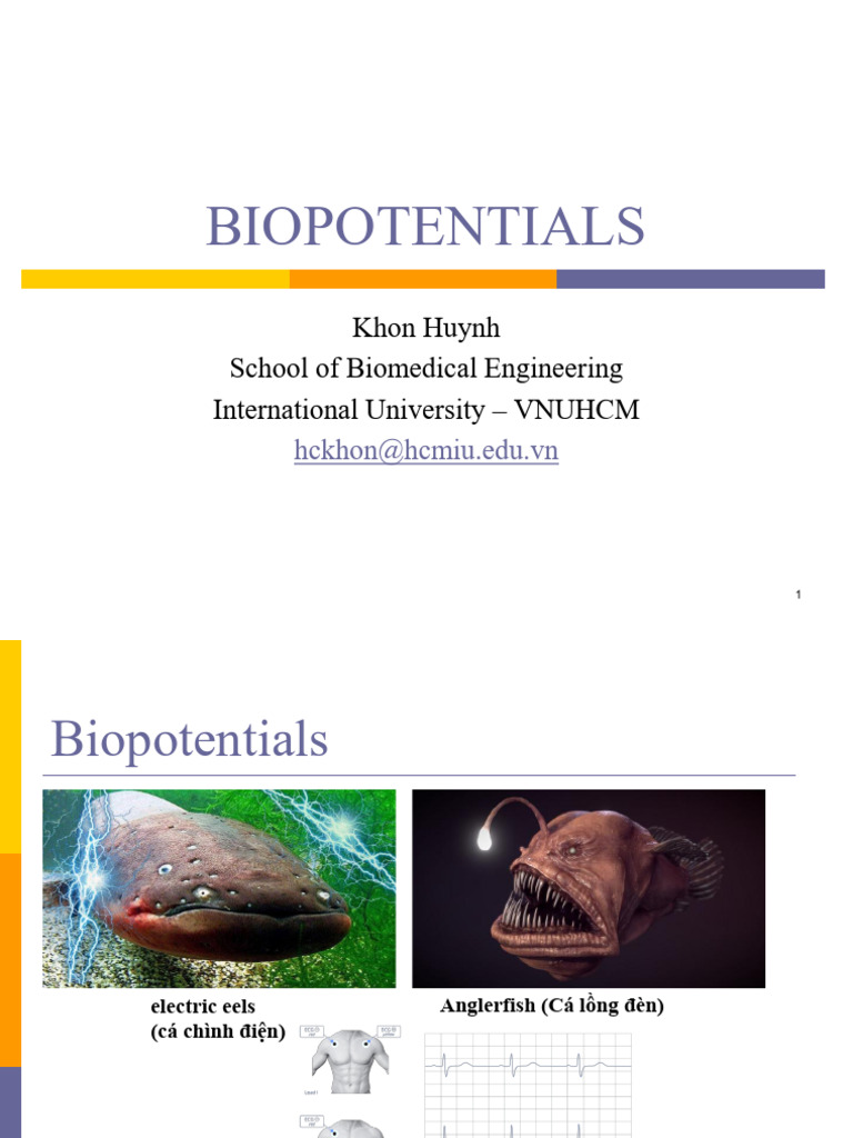 Lecture 4 Bioelectricity | PDF