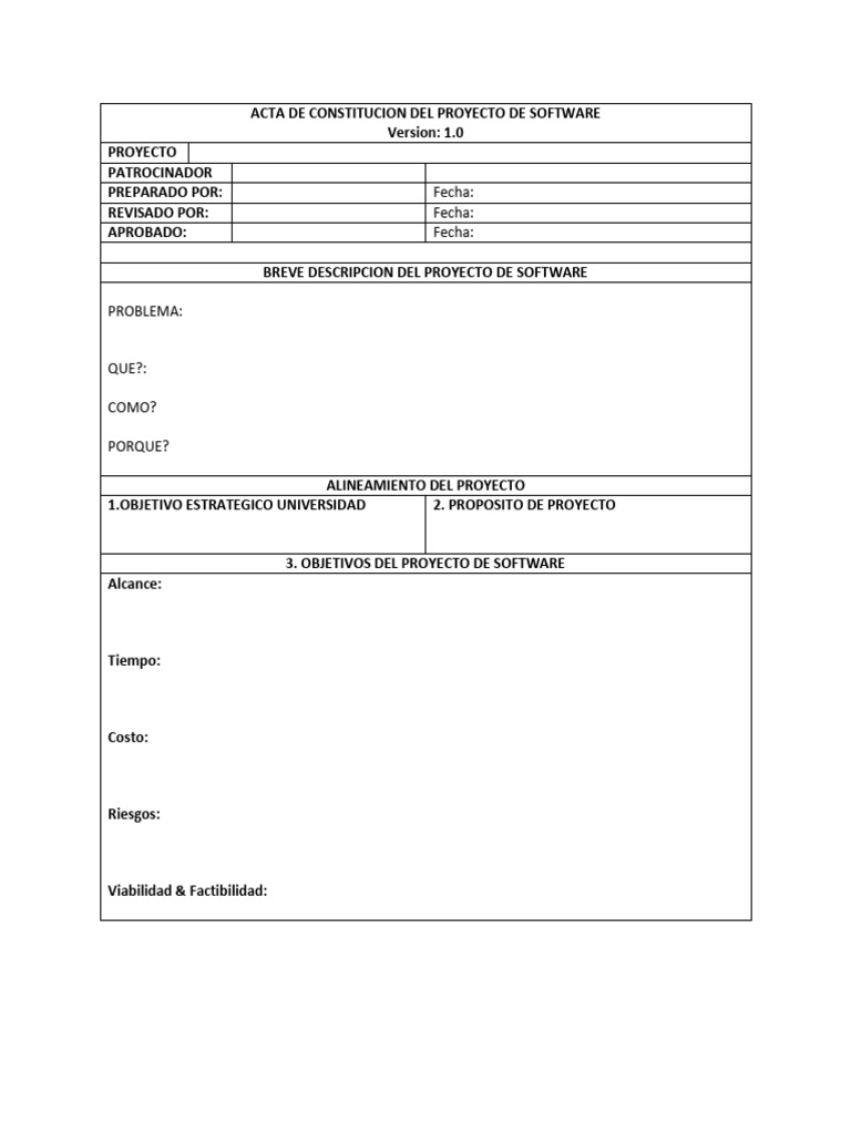 Template Acta de Constitucion Del Proyecto de Software | PDF