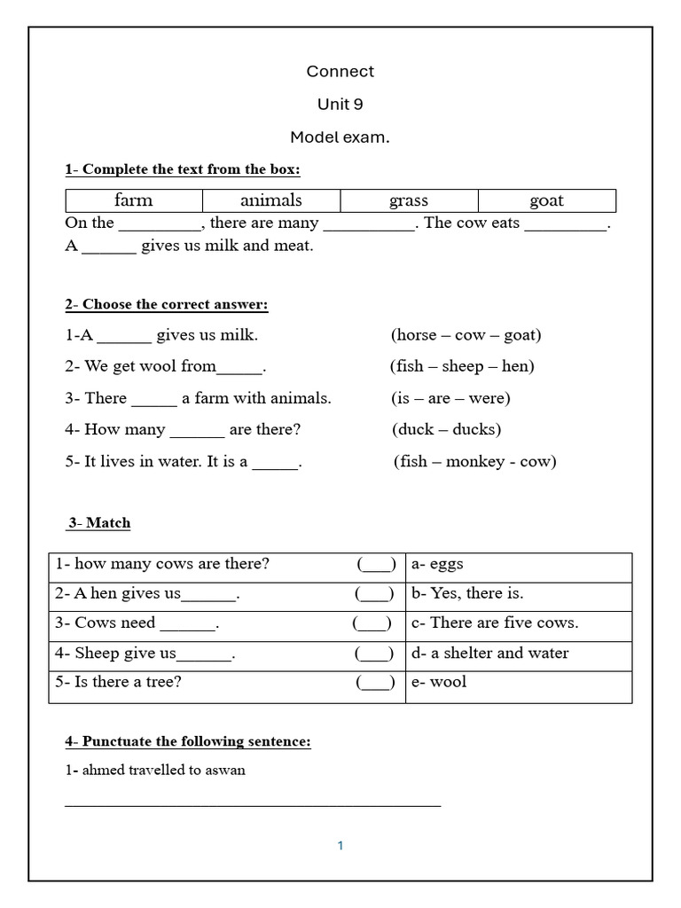 Grade 2 Final Revision | PDF