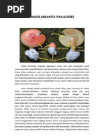 Download Jamur Amanita Phalloidesa by Chornel Sitompul SN101388757 doc pdf