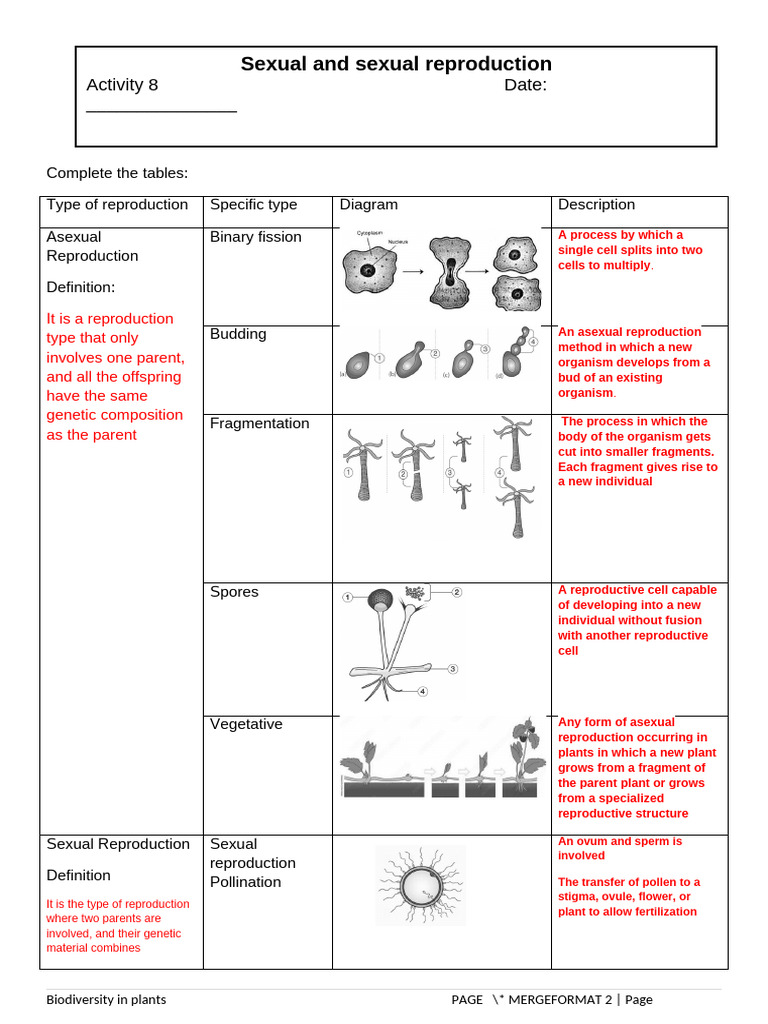 Activity 8 Asexual and Sexsual Reproduction - Memo | PDF | Sexual ...