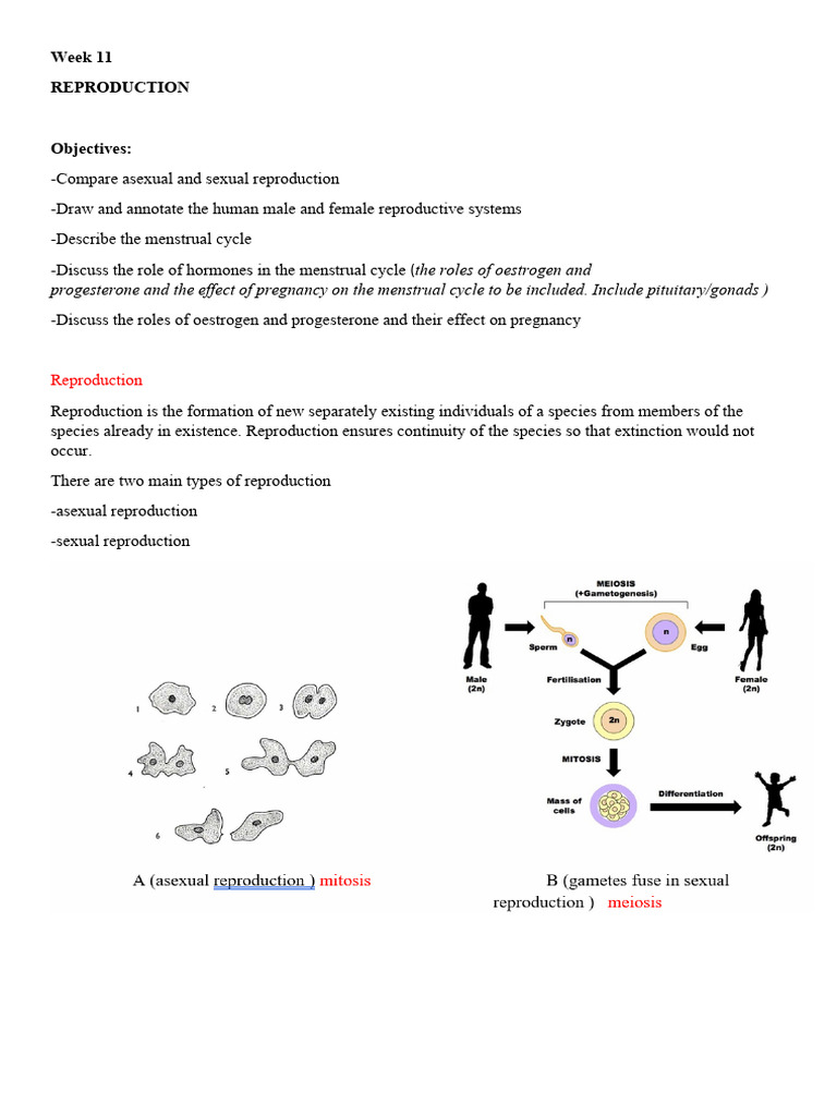 Reproduction | PDF