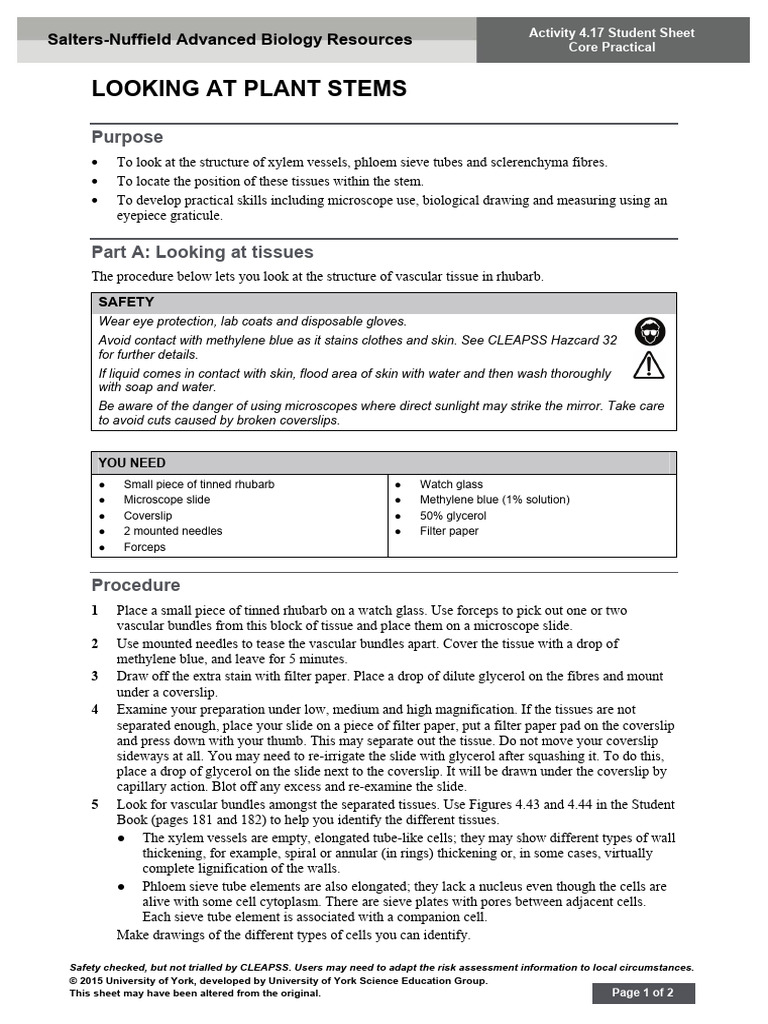 Core Practical 6 Plant Stem Microscopy 2 | PDF