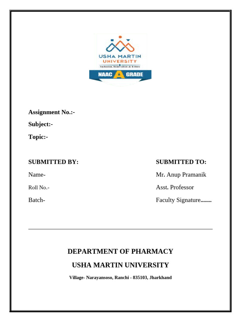 Assignment Format PMM | PDF