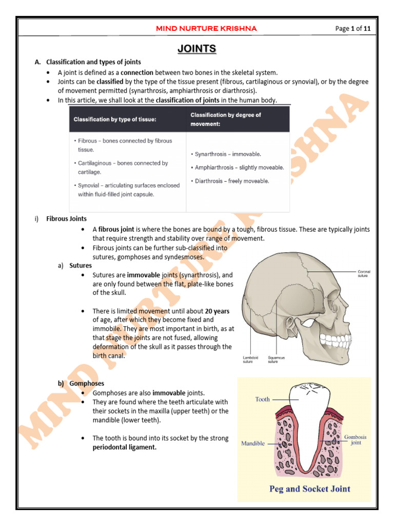 L-2 Joints | PDF