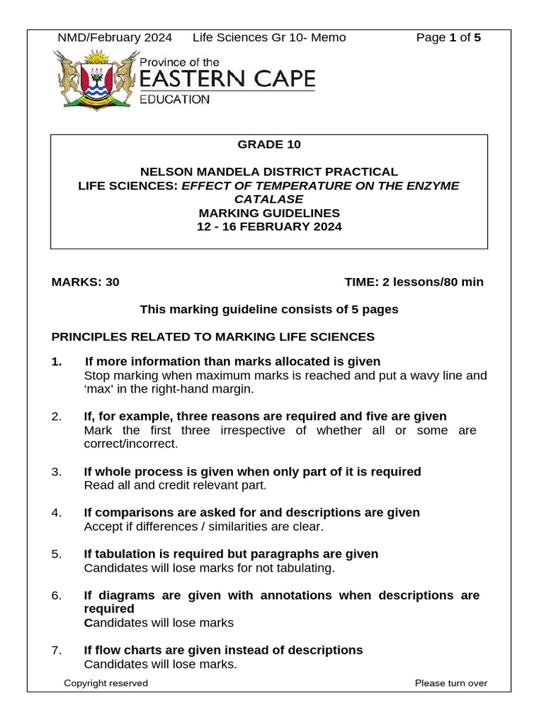 2024 GR 10 Term 1 Prac Enzymes Eng Memo | PDF