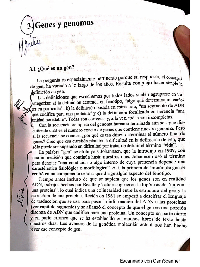 Capitulo 3 | PDF