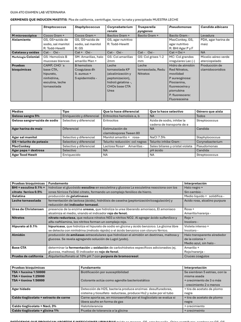 Guia 4 Lab Vet | PDF