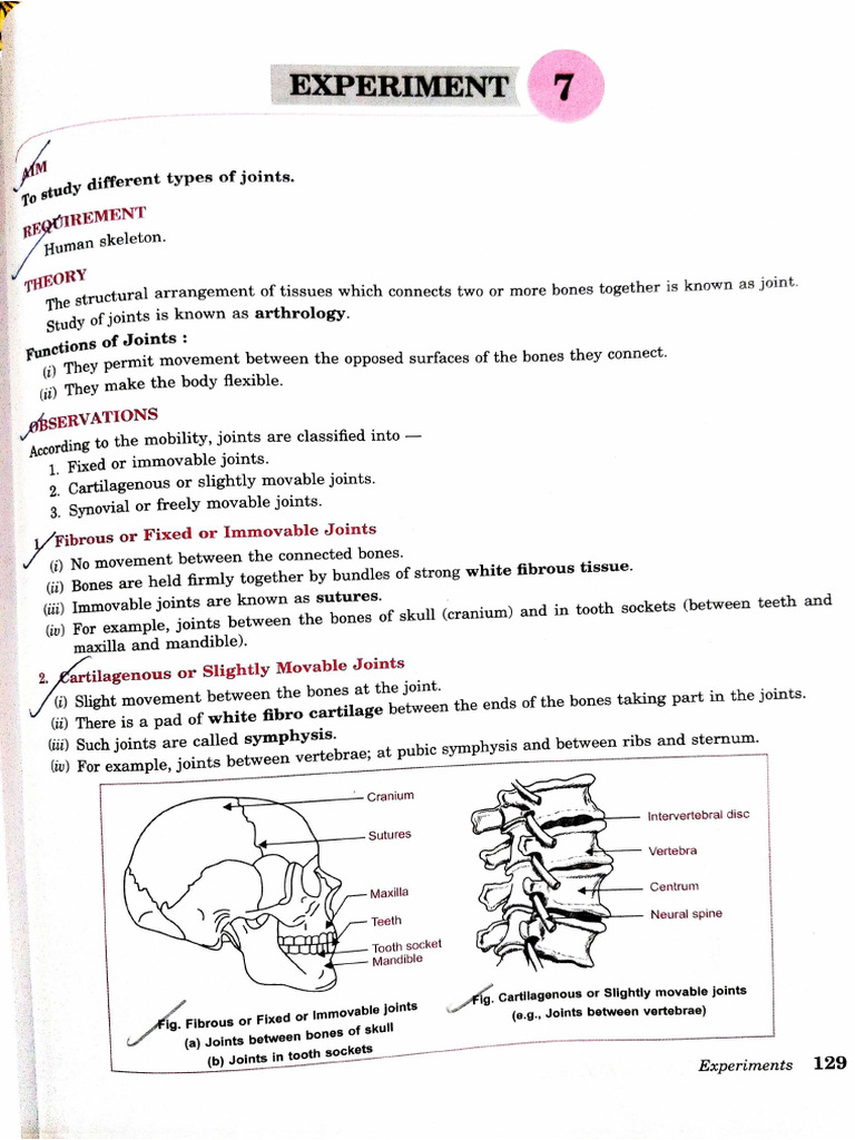 Biology Practical Joints | PDF