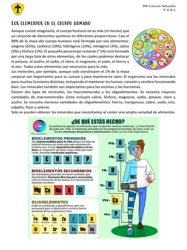 Los Elementos en El Cuerpo Humano | PDF