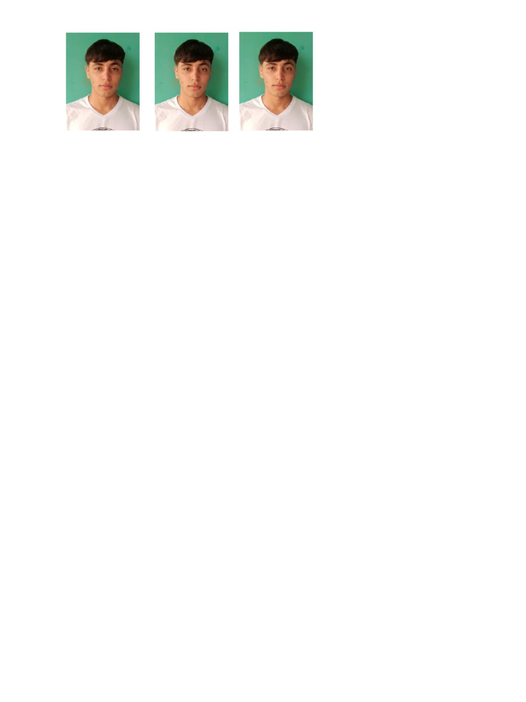 Fotos Amilkar Carnet | PDF