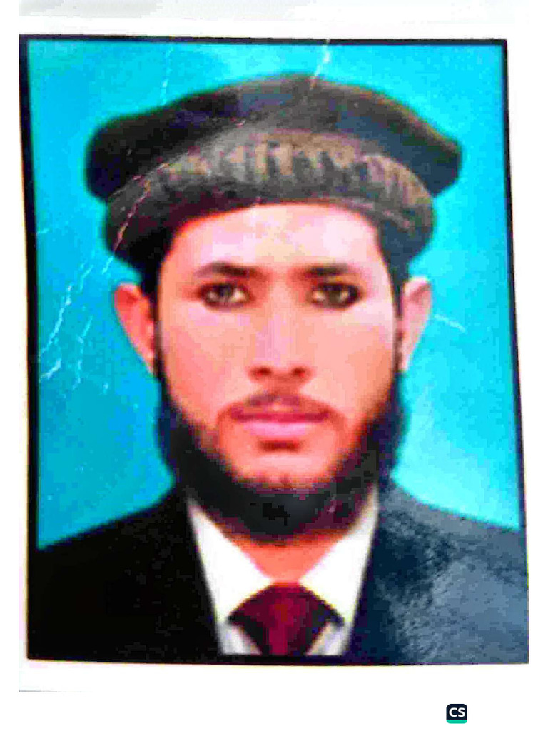 Ali Raza - Compressed | PDF