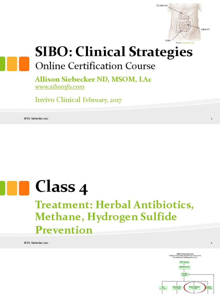 Sibo Class 4 Siebecker-Invivio-new | PDF | Sulfur