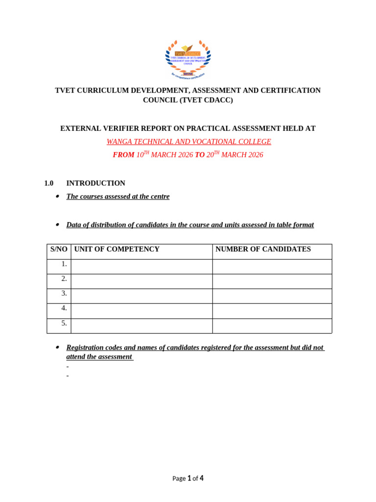 Summative Report Template | PDF