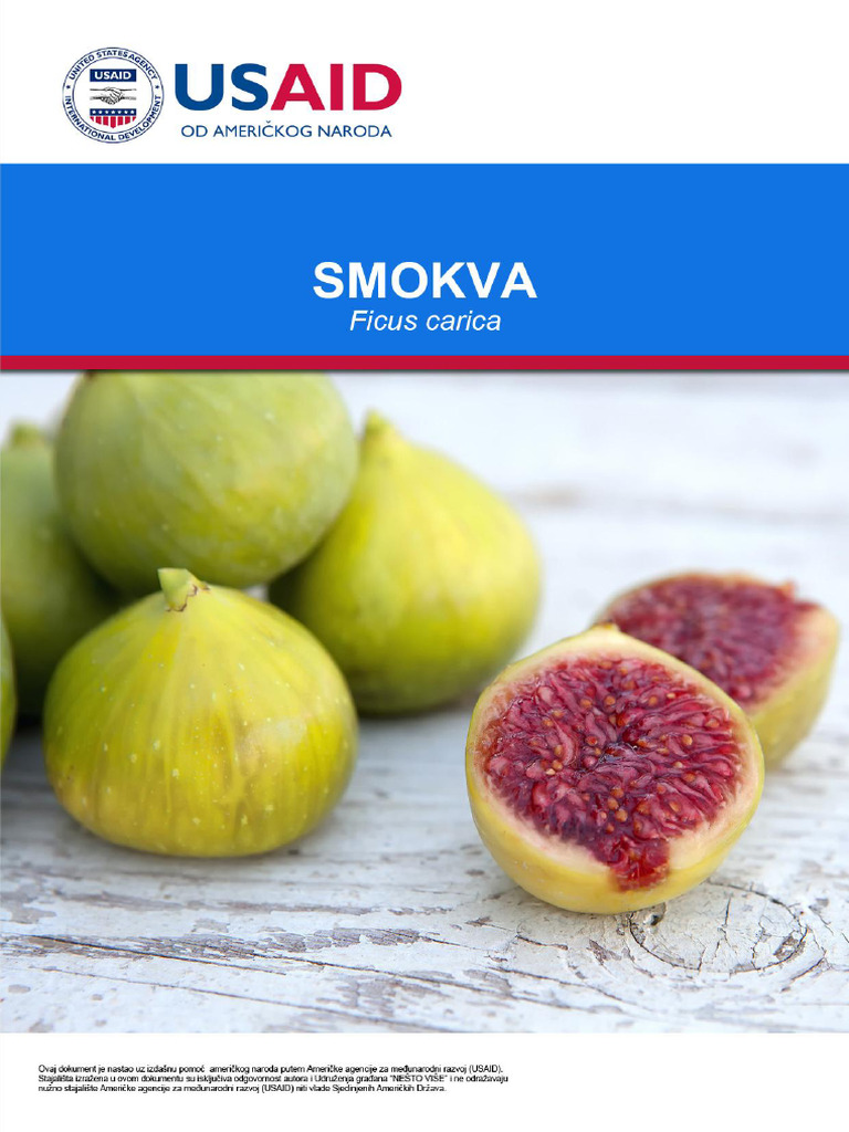 Smokva | PDF