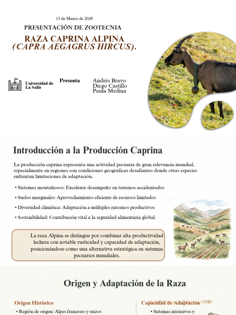 Raza Caprina Alpina - Excelencia en Producción Lechera | PDF