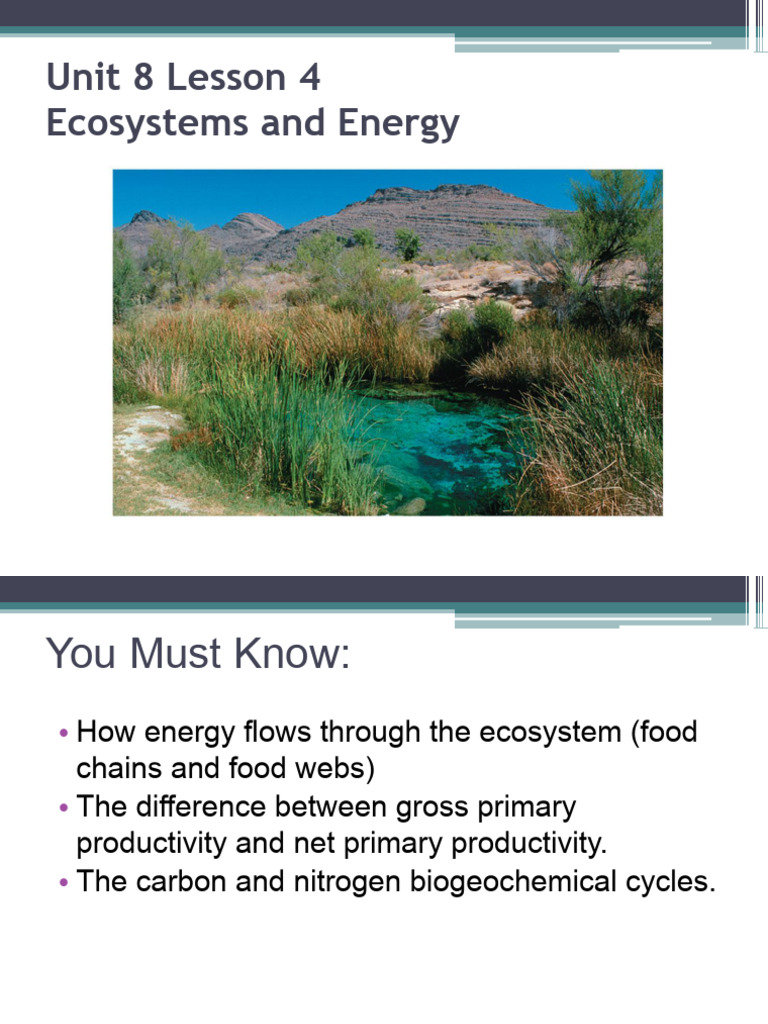 Unit+8 ++Lesson+4+Ecosystems | PDF