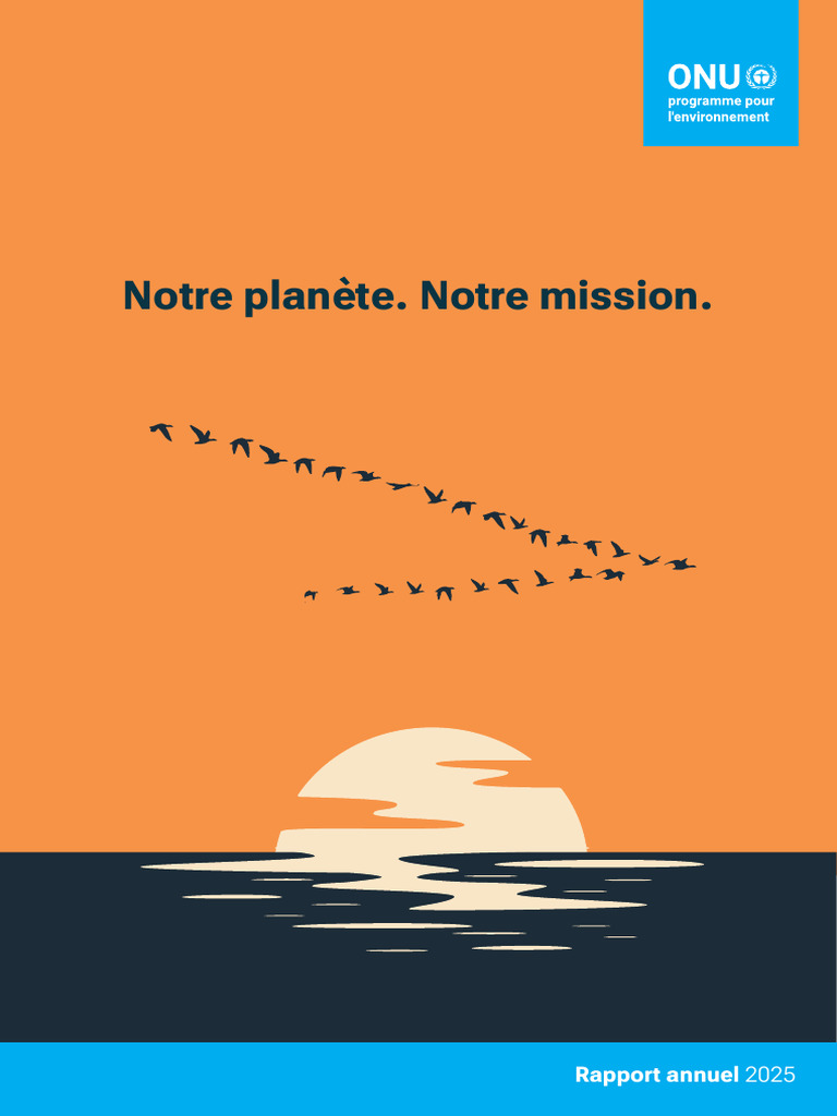 UNEP Annual Report 2025 | PDF