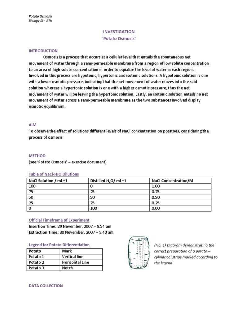 Sample Lab Report Potato Osmosis