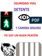 Seguridad Vial