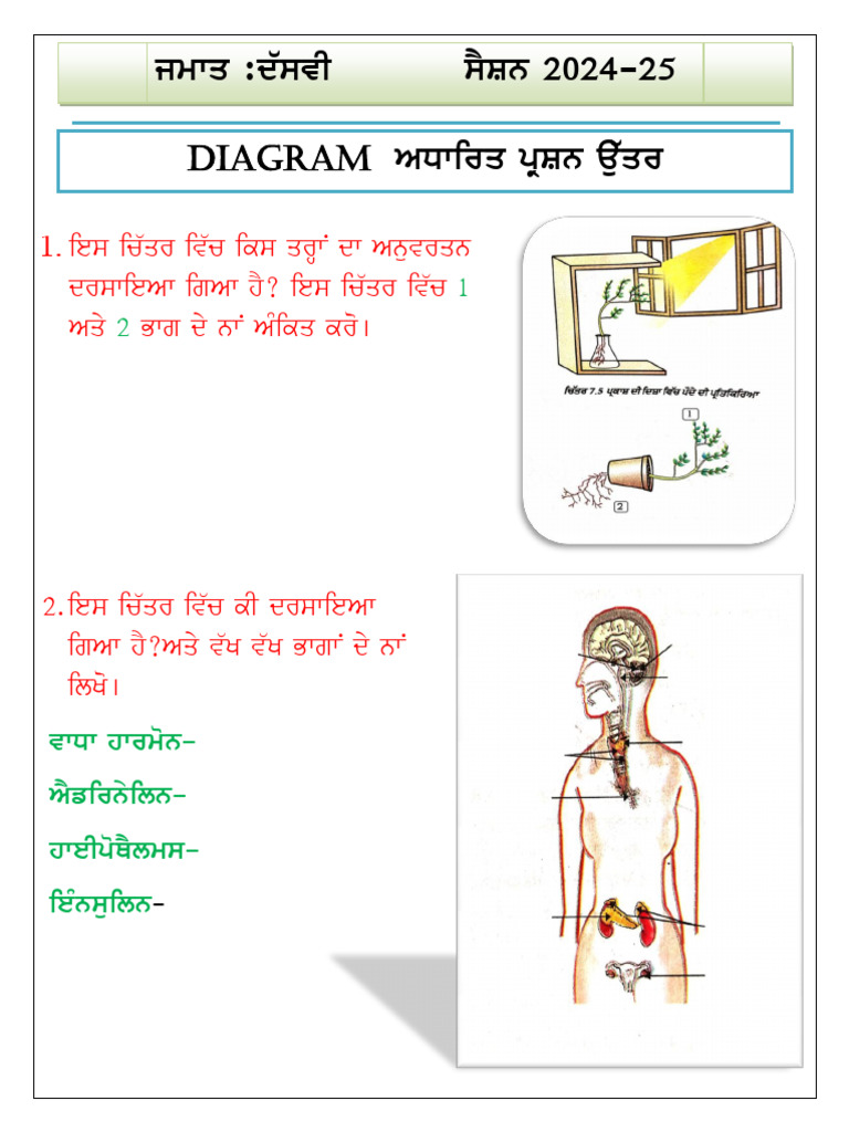 10th Practice Diagram Based Questions-2 | PDF