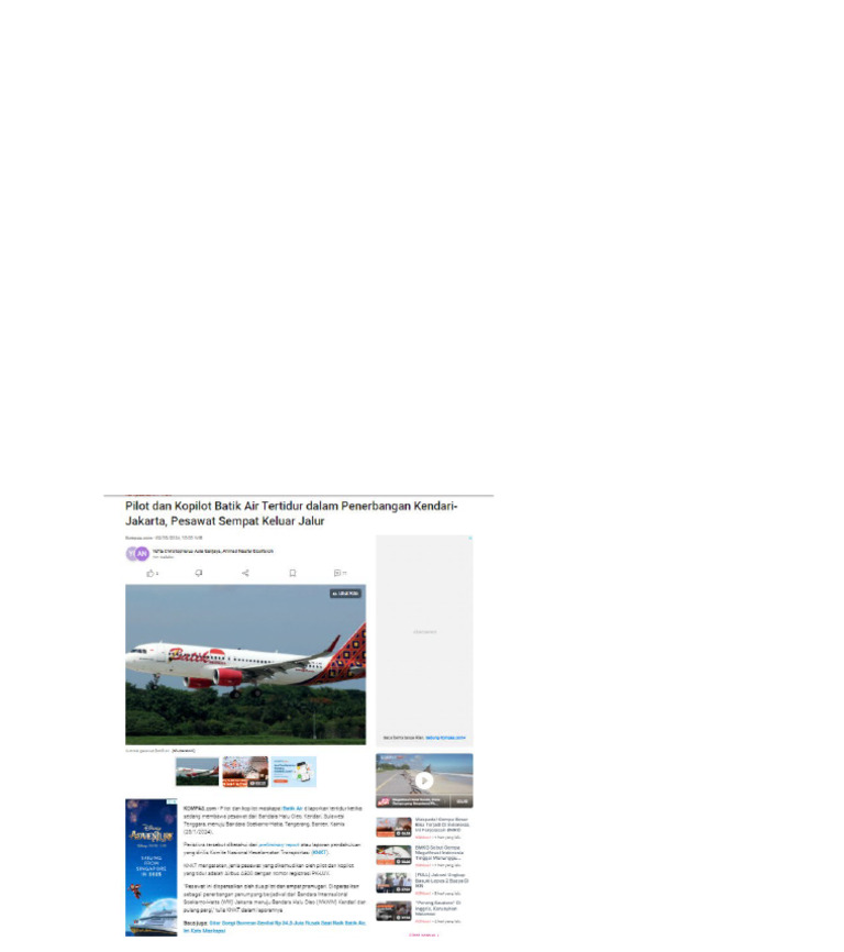 Tentang Fly by Wire | PDF
