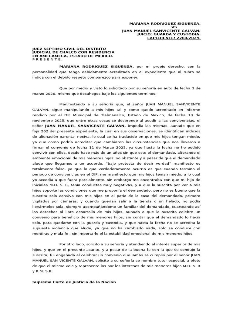 DESAHOGAR VISTA | PDF | Ley politica | Justicia