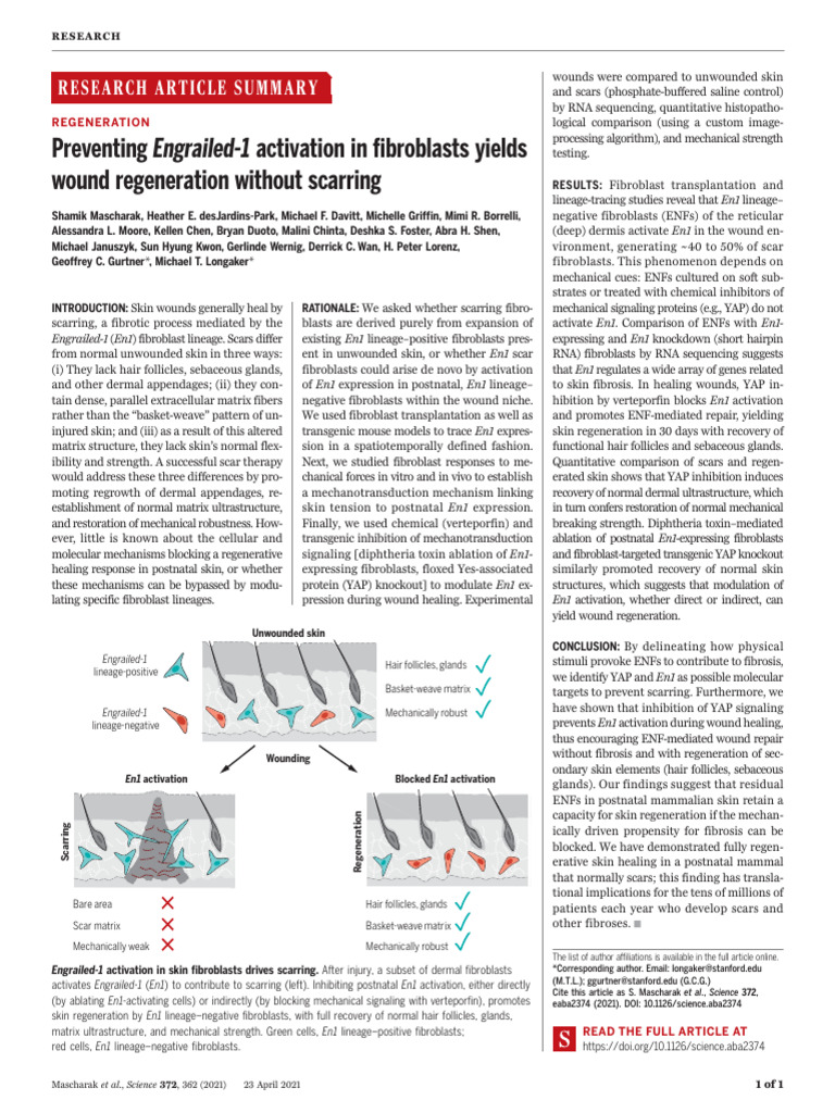 00 - Seminal Research - Preventing Engrailed-1 Activation in ...