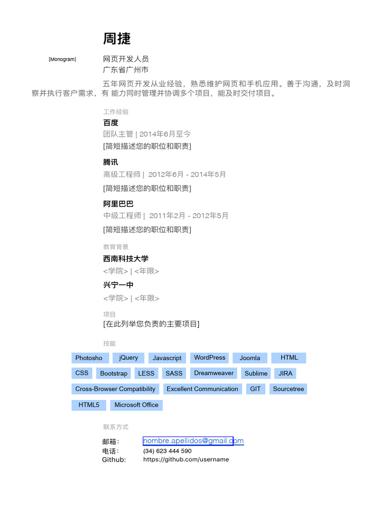 CV Template ZH | PDF