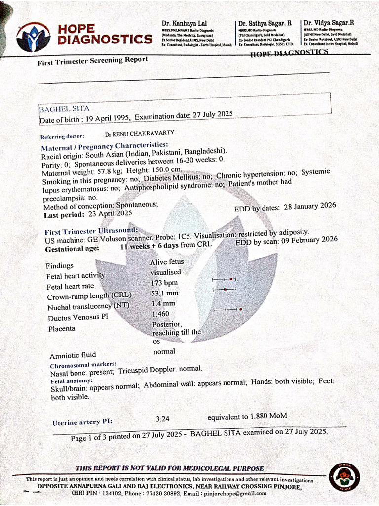 Level 1 First Trimester | PDF