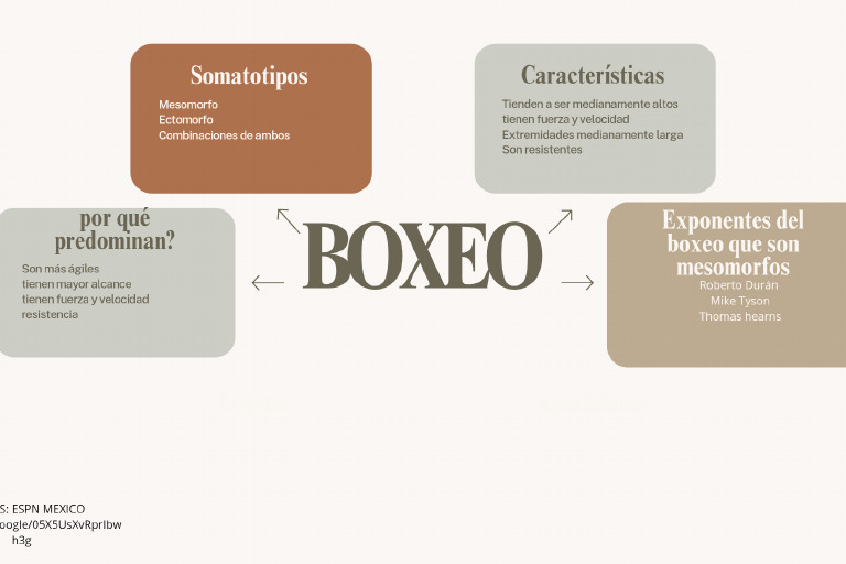 Mapa Mental de Somatotipos en Boxeo | PDF