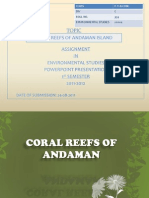 On Corals of Andaman