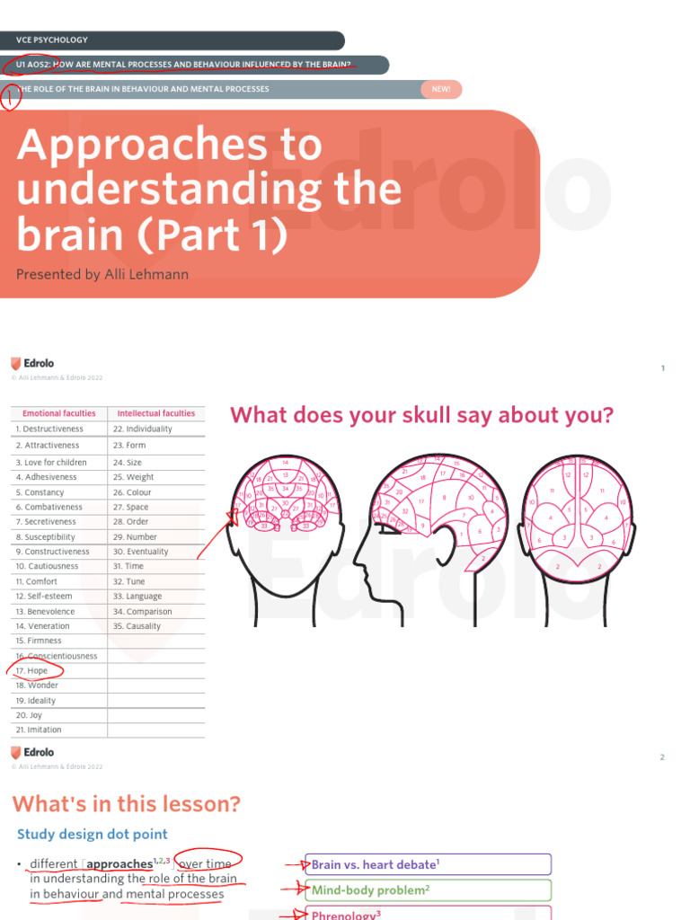 4A Approaches To Understanding The Brain Part 1 Edrolo Study Notes ...