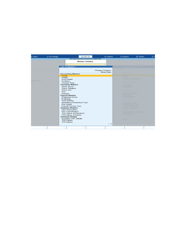 Tally Master Creation Notes | PDF