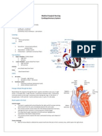 Cardiovascular System