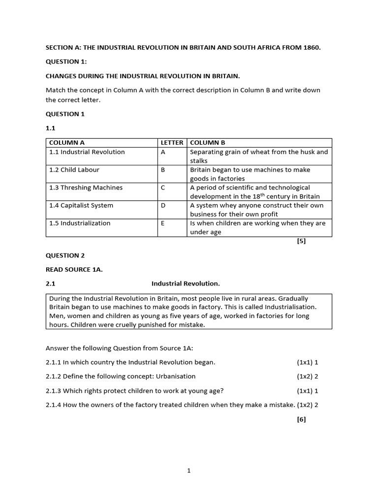 Social Science Grade 8 2026 Term 1 March | PDF | Industrial Revolution ...