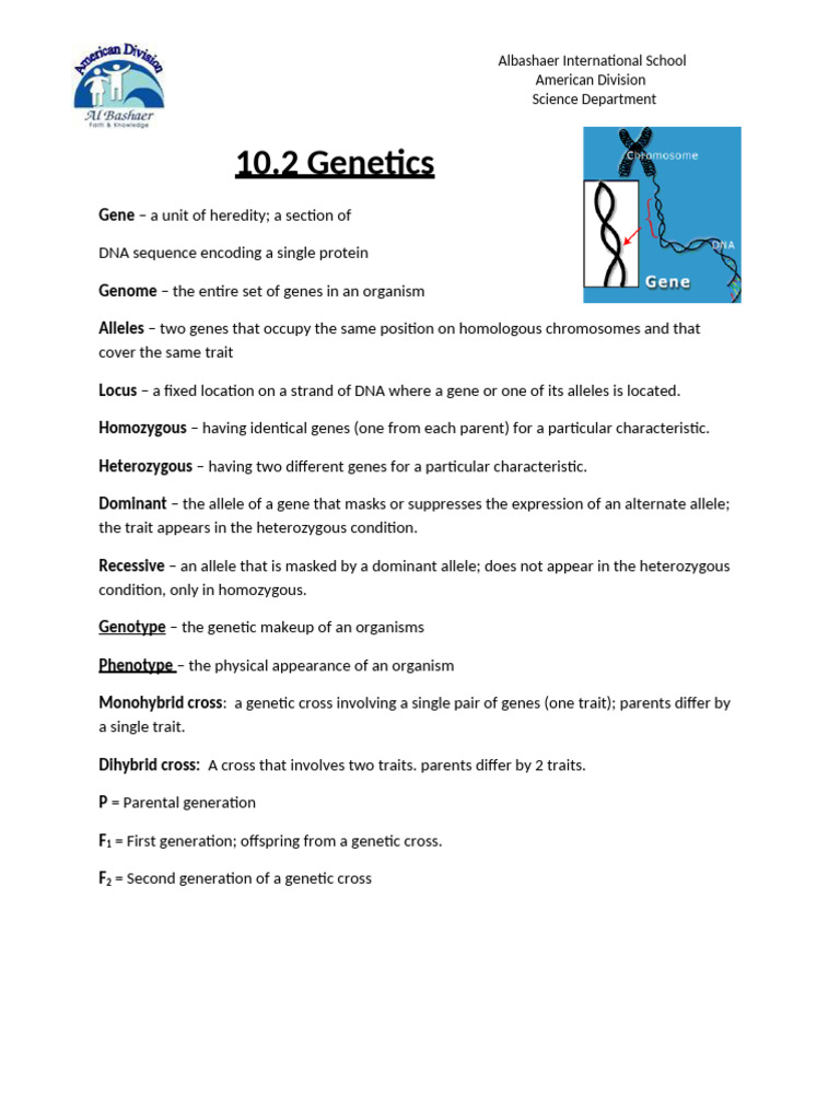 Netics Summary | PDF