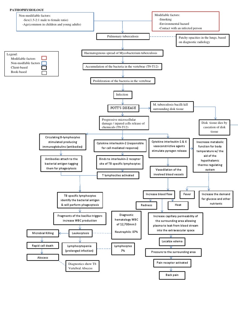 Pathophysiology of POTT's disease