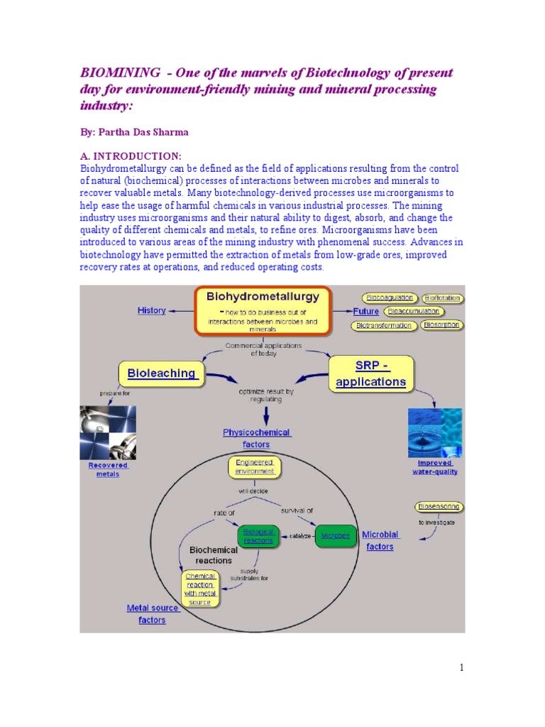 Understanding Biomining Processes | PDF | Mining | Nature